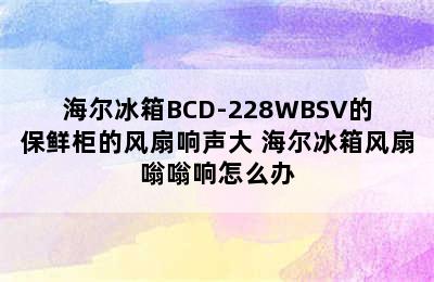 海尔冰箱BCD-228WBSV的保鲜柜的风扇响声大 海尔冰箱风扇嗡嗡响怎么办